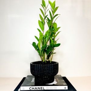 Ceramic Stone Planter Pot